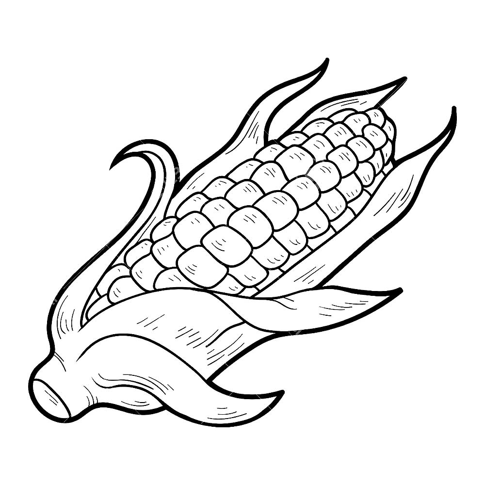 Corn coloring pages to download and print for free