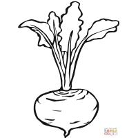 Beetroot coloring pages