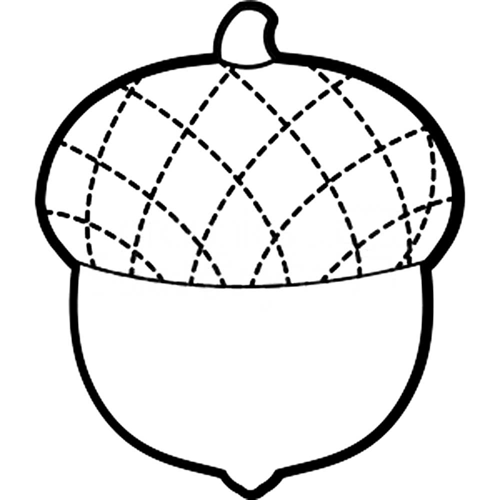 acorn coloring page Coloring Pages