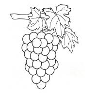 Grapes coloring pages