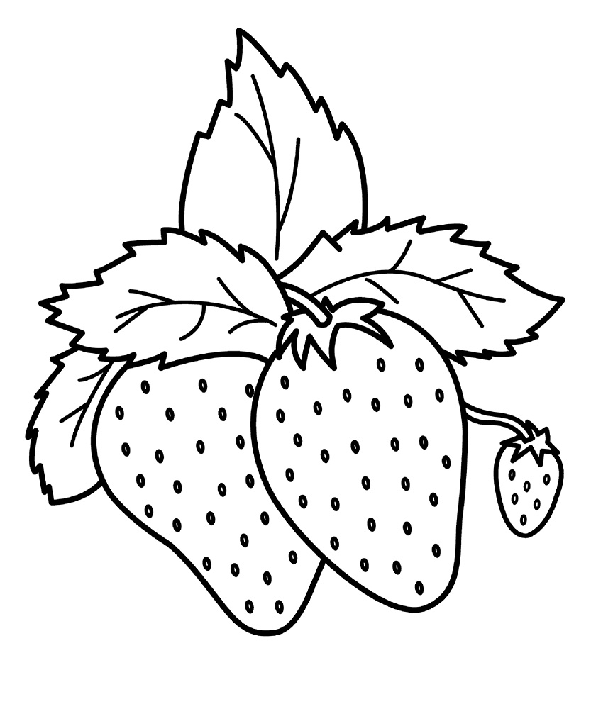 Berries coloring pages to download and print for free