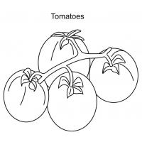 Tomatoes coloring pages
