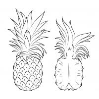 Pineapple coloring pages