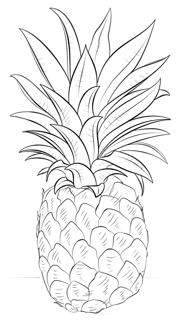 Download Pineapple coloring pages to download and print for free