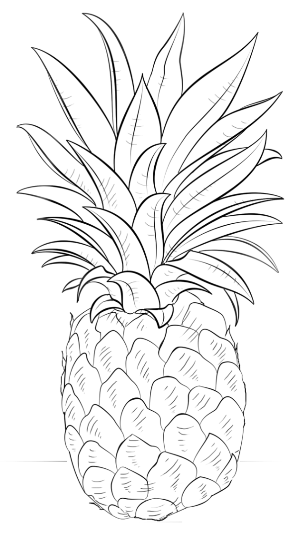 Pineapple coloring pages to download and print for free