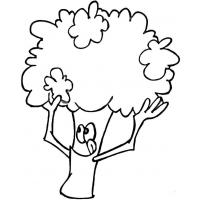 Broccoli coloring pages