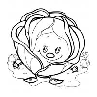 Cabbage coloring pages