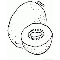 Kiwi coloring pages
