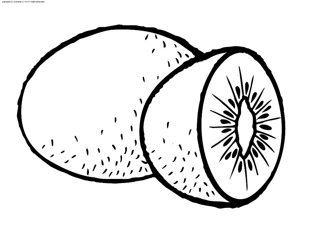 Kiwi Coloring Pages For Kids