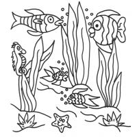 Under the sea coloring pages