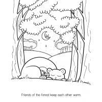 Forest coloring pages