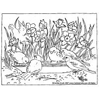 Garden coloring pages