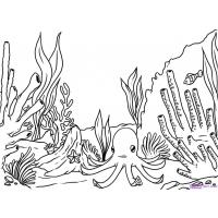Coral reef coloring pages