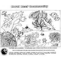 Coral reef coloring pages