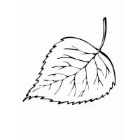 Flower leaves coloring pages