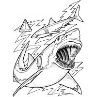 Ocean coloring pages
