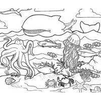 Ocean coloring pages