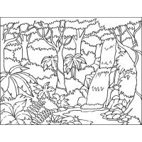 Jungle coloring pages