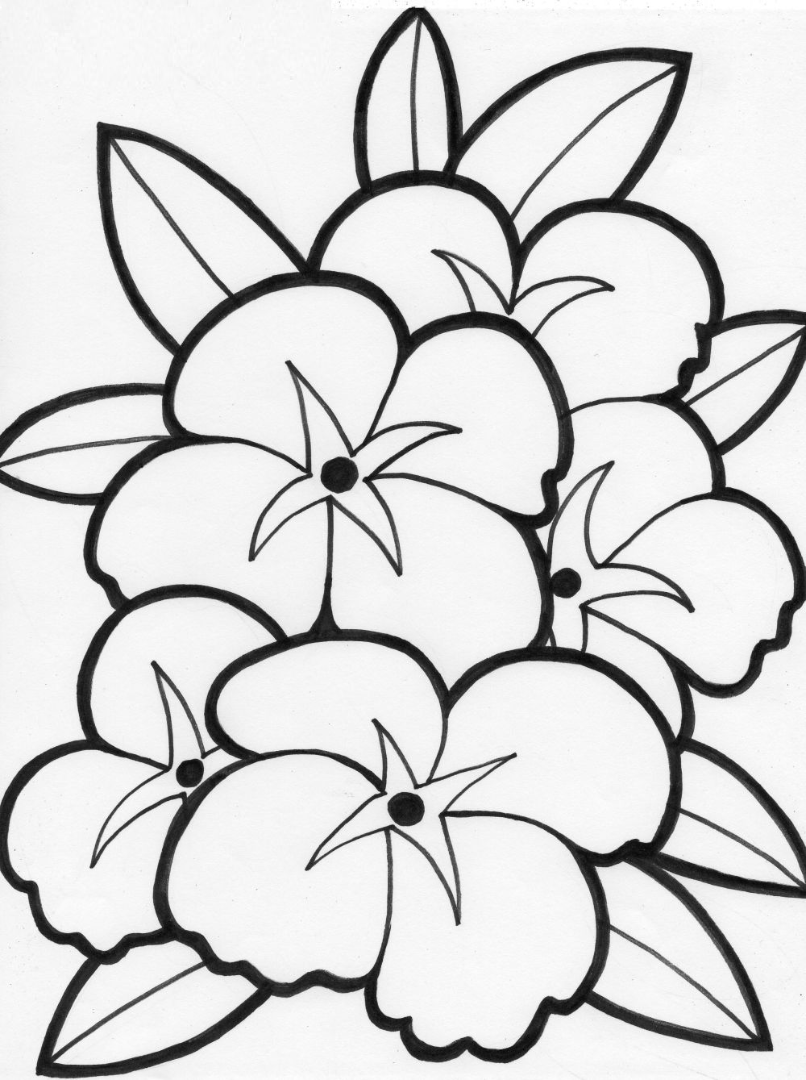 Flower coloring pages to download and print for free