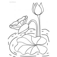Lily coloring pages