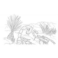 Desert coloring pages