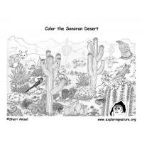 Desert coloring pages