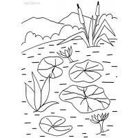 Water lilies coloring pages