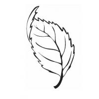 Tree leaves coloring pages