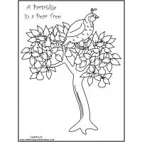 Pear tree coloring pages