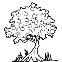 Pear tree coloring pages