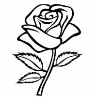 Roses coloring pages
