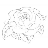 Roses coloring pages