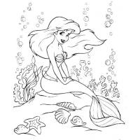 Seabed coloring pages