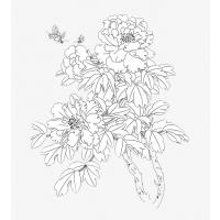 Peony coloring pages