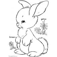 Easter and spring coloring pages